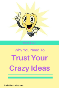 Trust Your Crazy Ideas