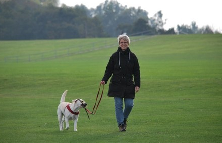 Take long walks with your  dog